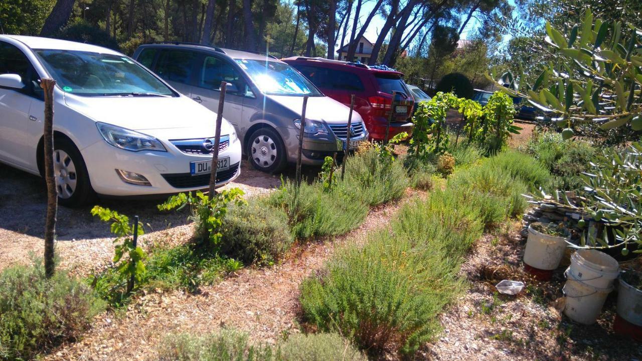 Apartmani Nimcevic Biograd Na Moru Exterior photo